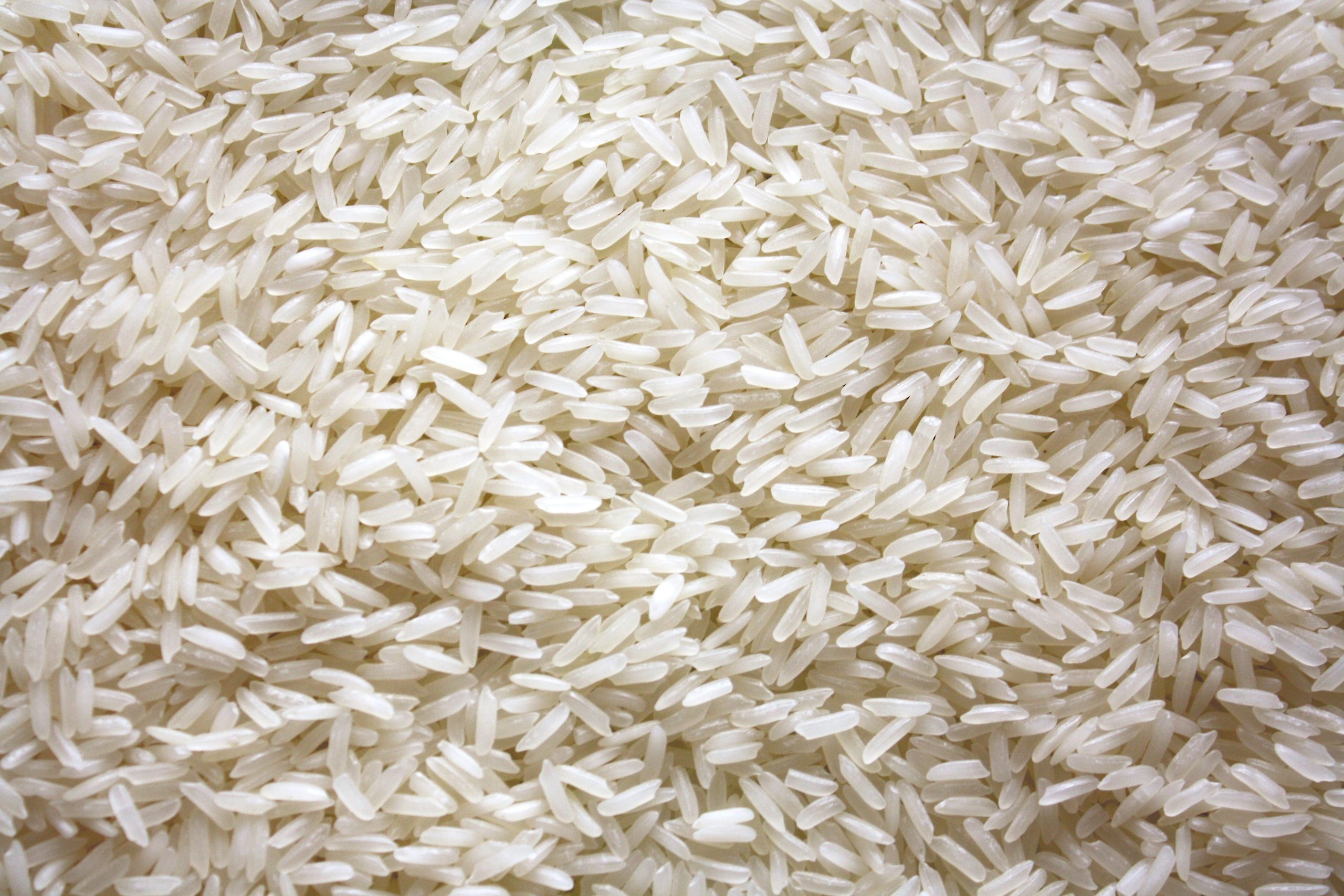 Dominican farmers call for limits on rice and chicken imports