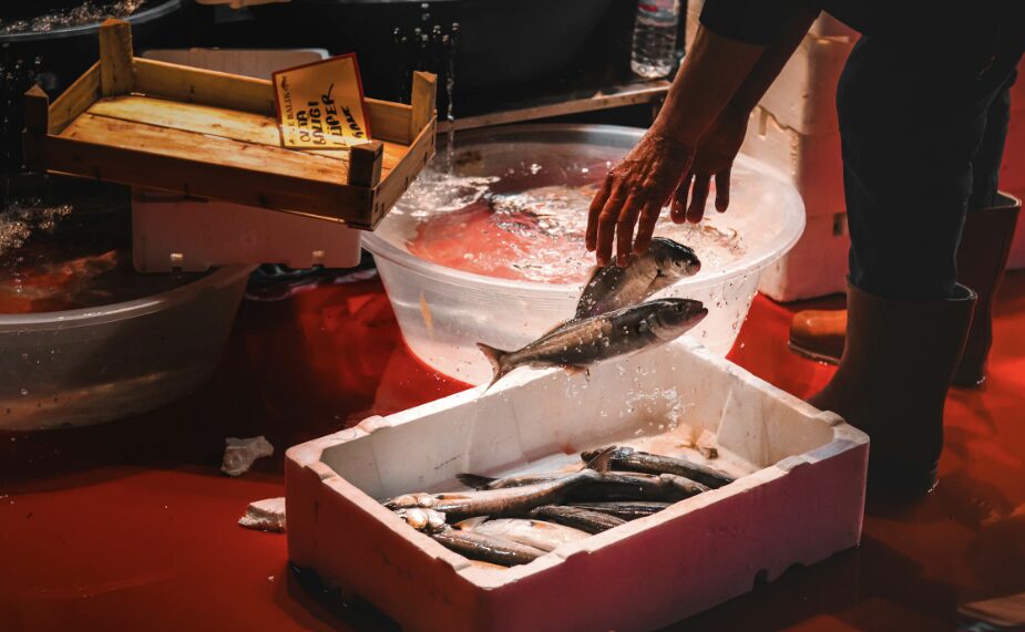 OECS Commission hands over ice coolers to Dominica’s fisherfolk to enhance sustainable fisheries