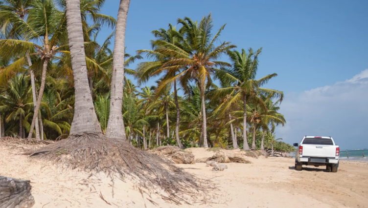 Environment Ministry enforces 60-meter beach buffer rule for Easter