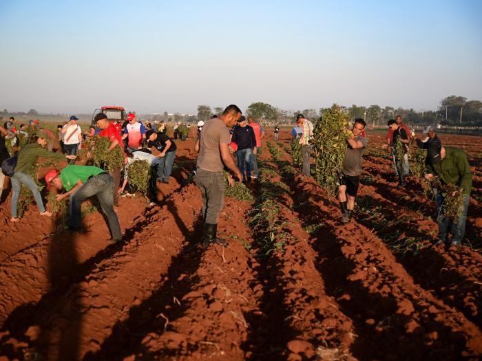 Cuban youth lead a productive Sunday