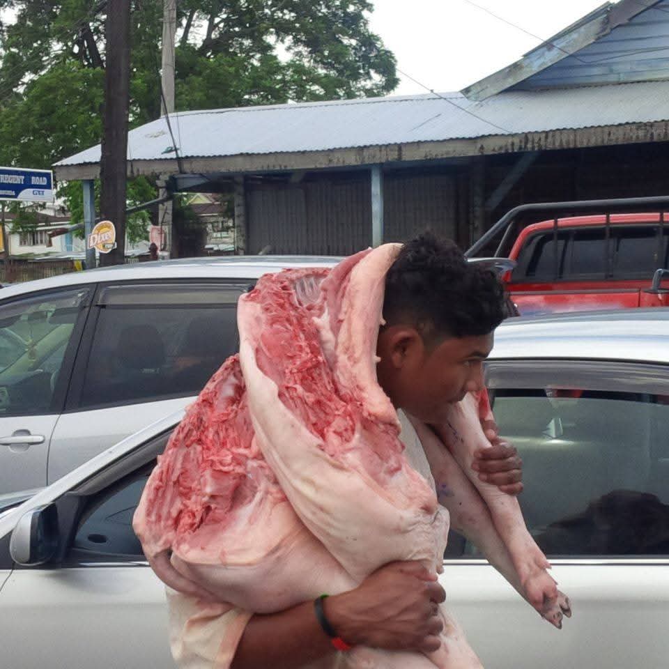 US firm mulling over boosting Guyana’s pork production, int’l standards compliance