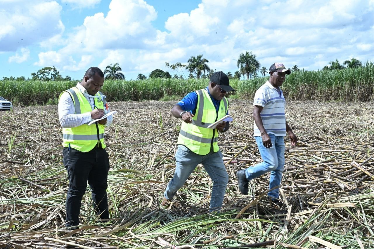 Dominican government reinforces efforts to eradicate child labor