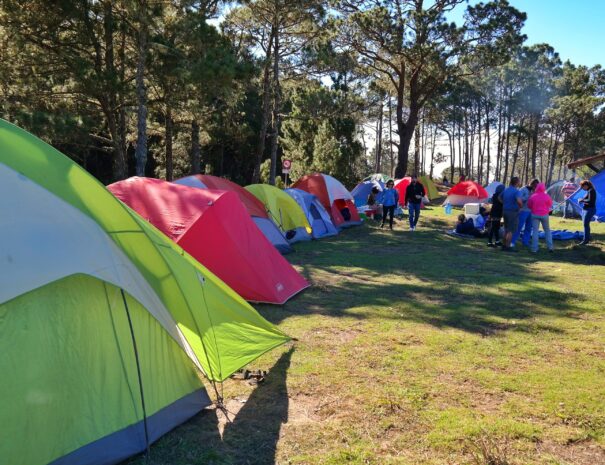 Valle Nuevo National Park remains public, Environment Ministry clarifies