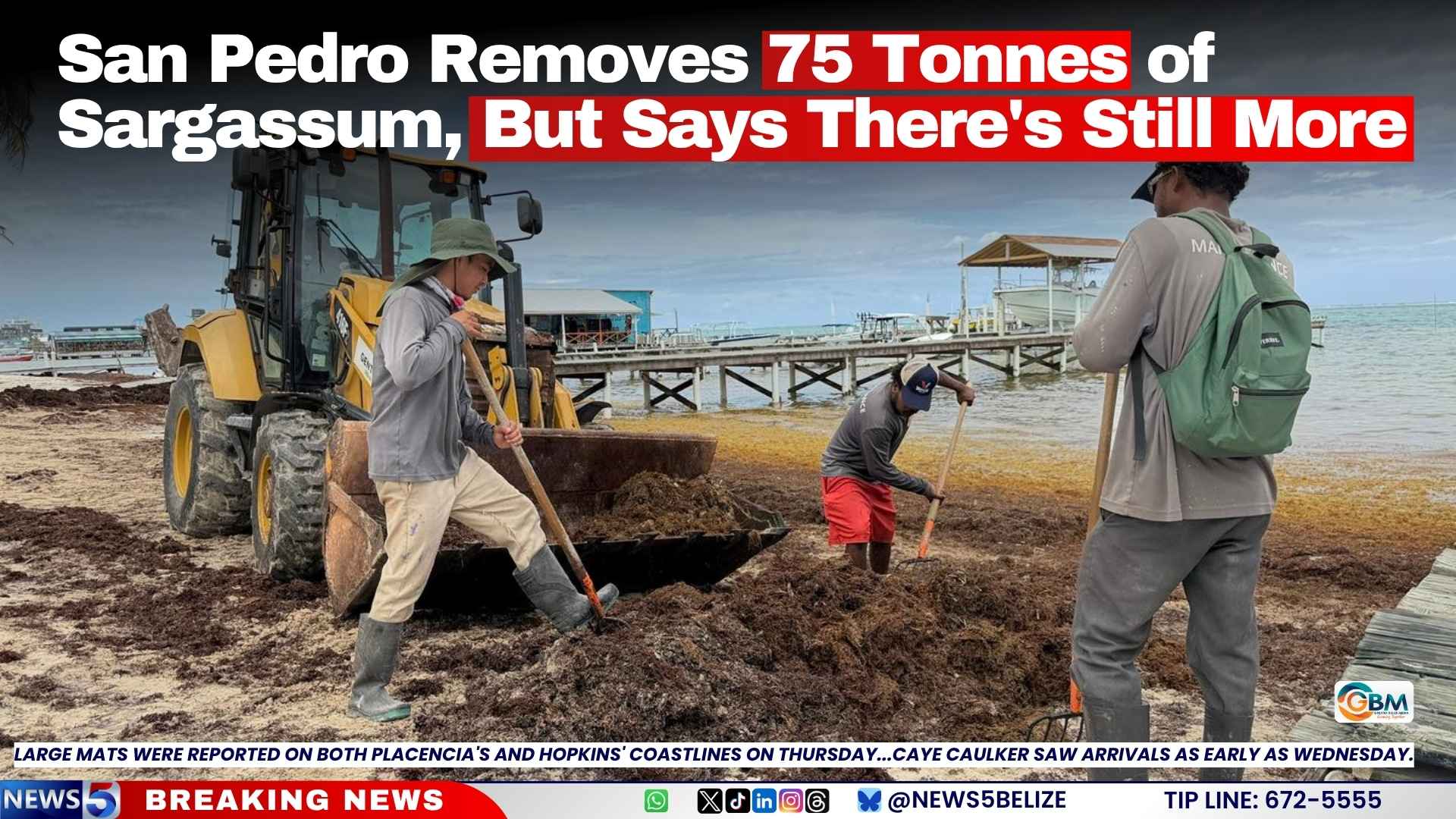 San Pedro Removes 75 Tonnes of Sargassum, But Says There’s Still More