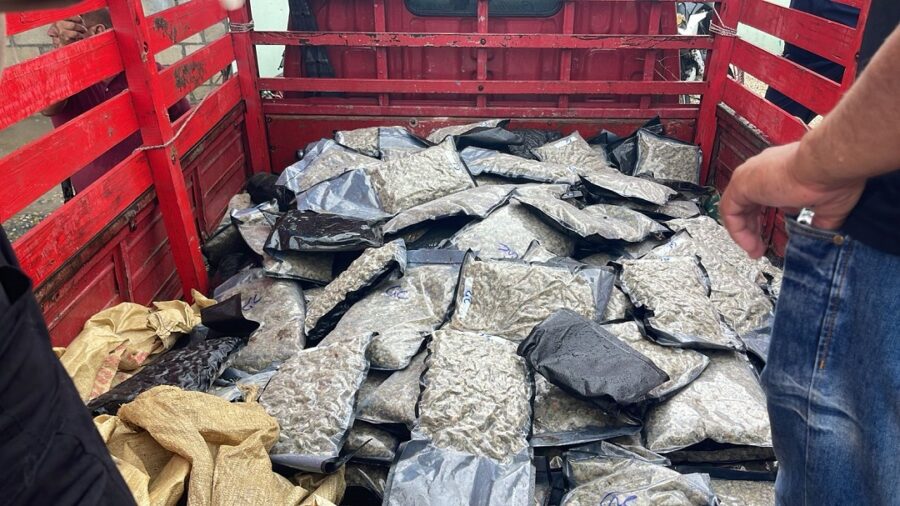 Authorities seize 151 packages of suspected synthetic Marijuana in Azua