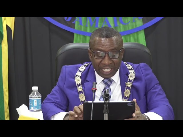 WATCH: Swaby hails 2026 Carnival a major success despite shooting incident