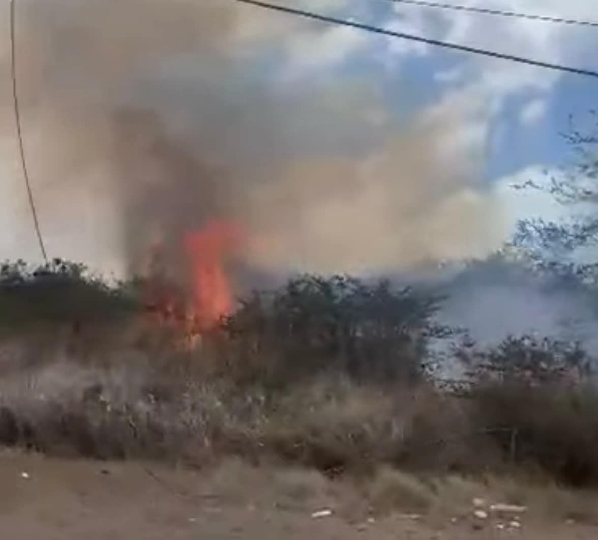 Bush fire reported along Utility Drive near car dealership