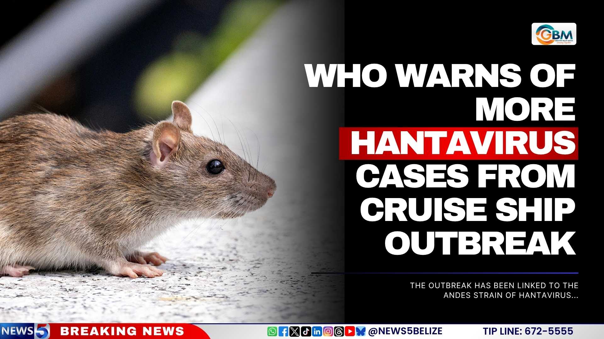 WHO Warns of More Hantavirus Cases From Cruise Ship Outbreak