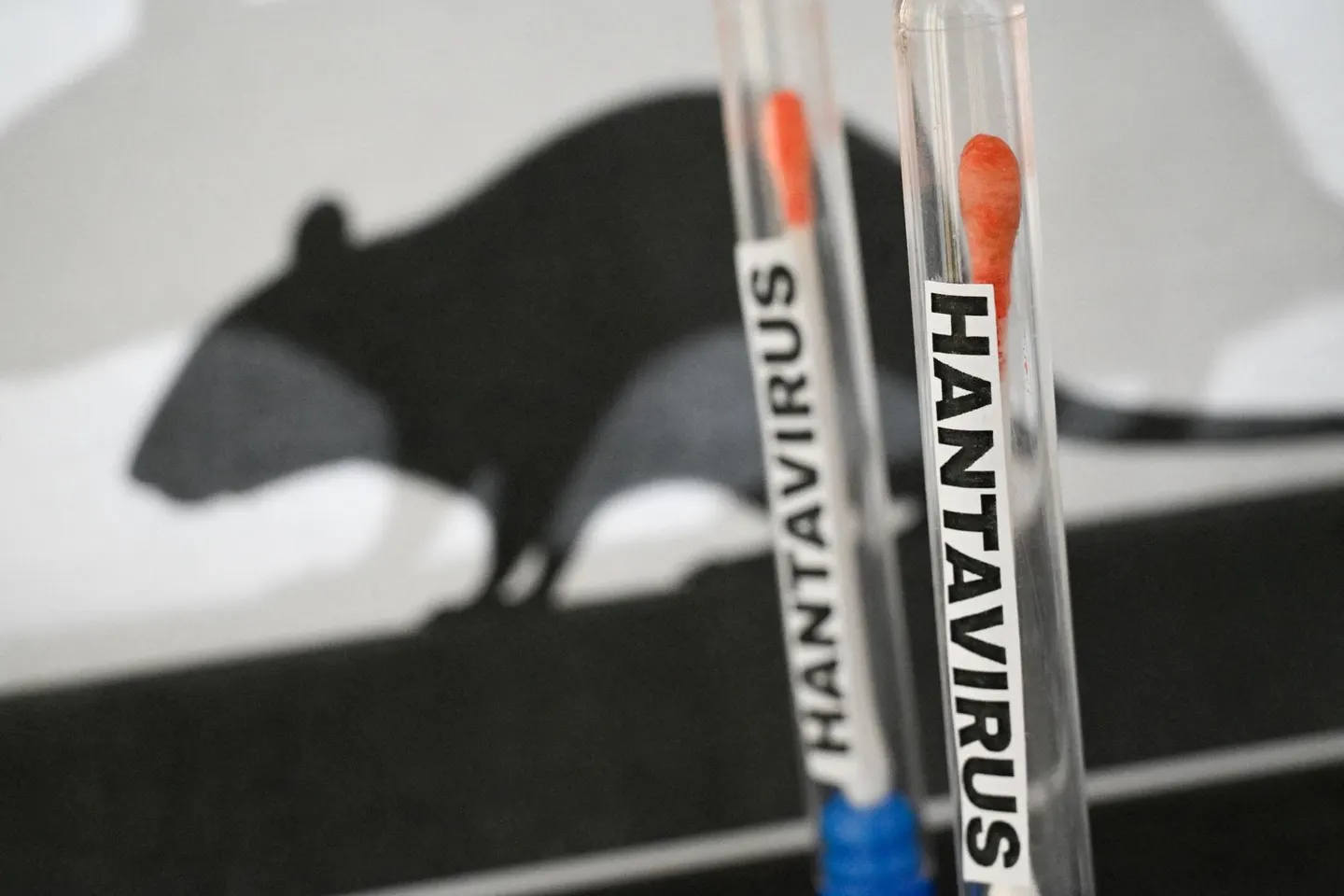 CARPHA says hantavirus risk low in Caribbean