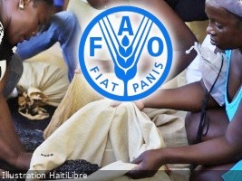 Over US$16 million in emergency food assistance provided to Haiti