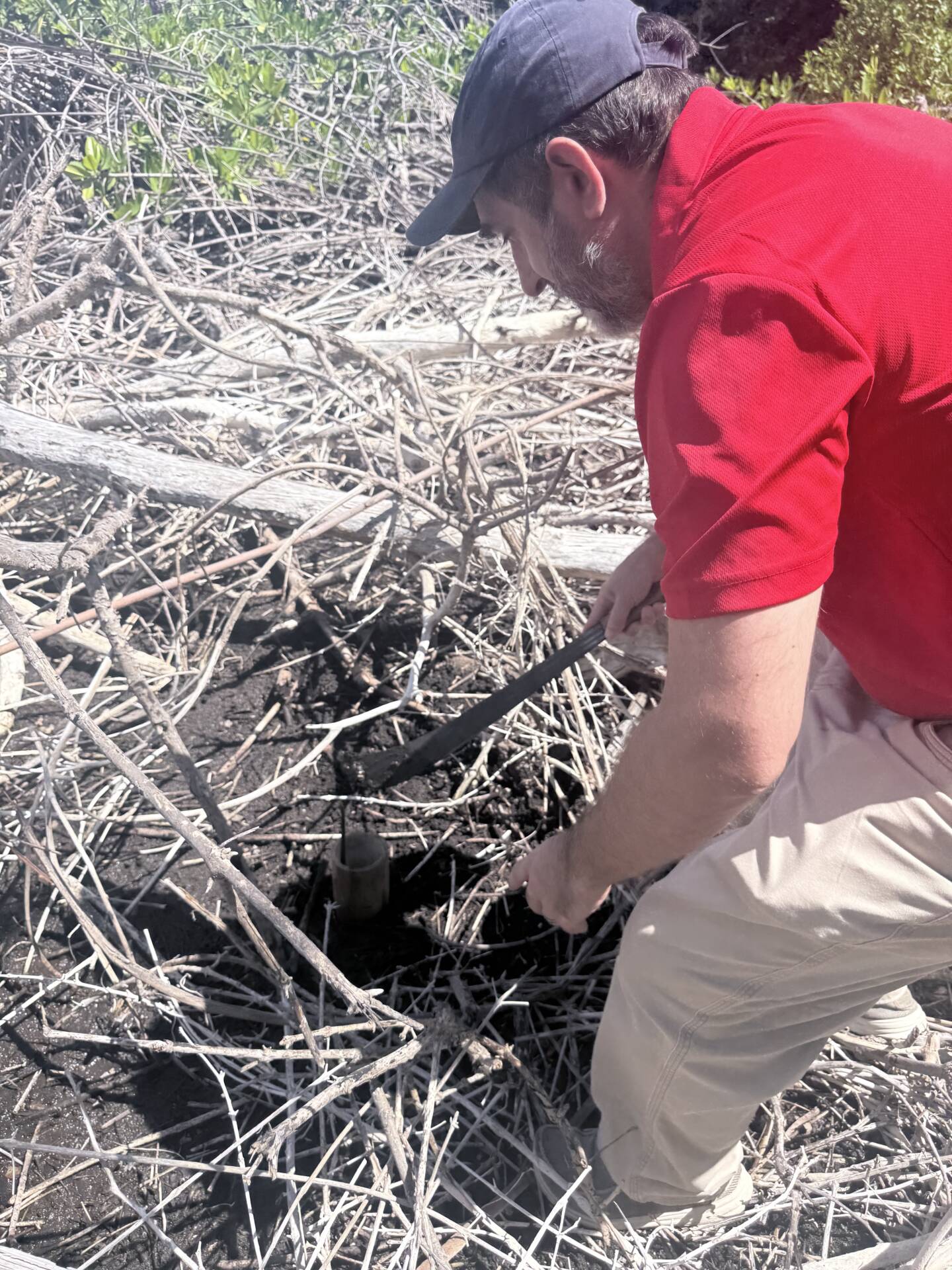 British High Commission supports Levera mangrove reforestation project