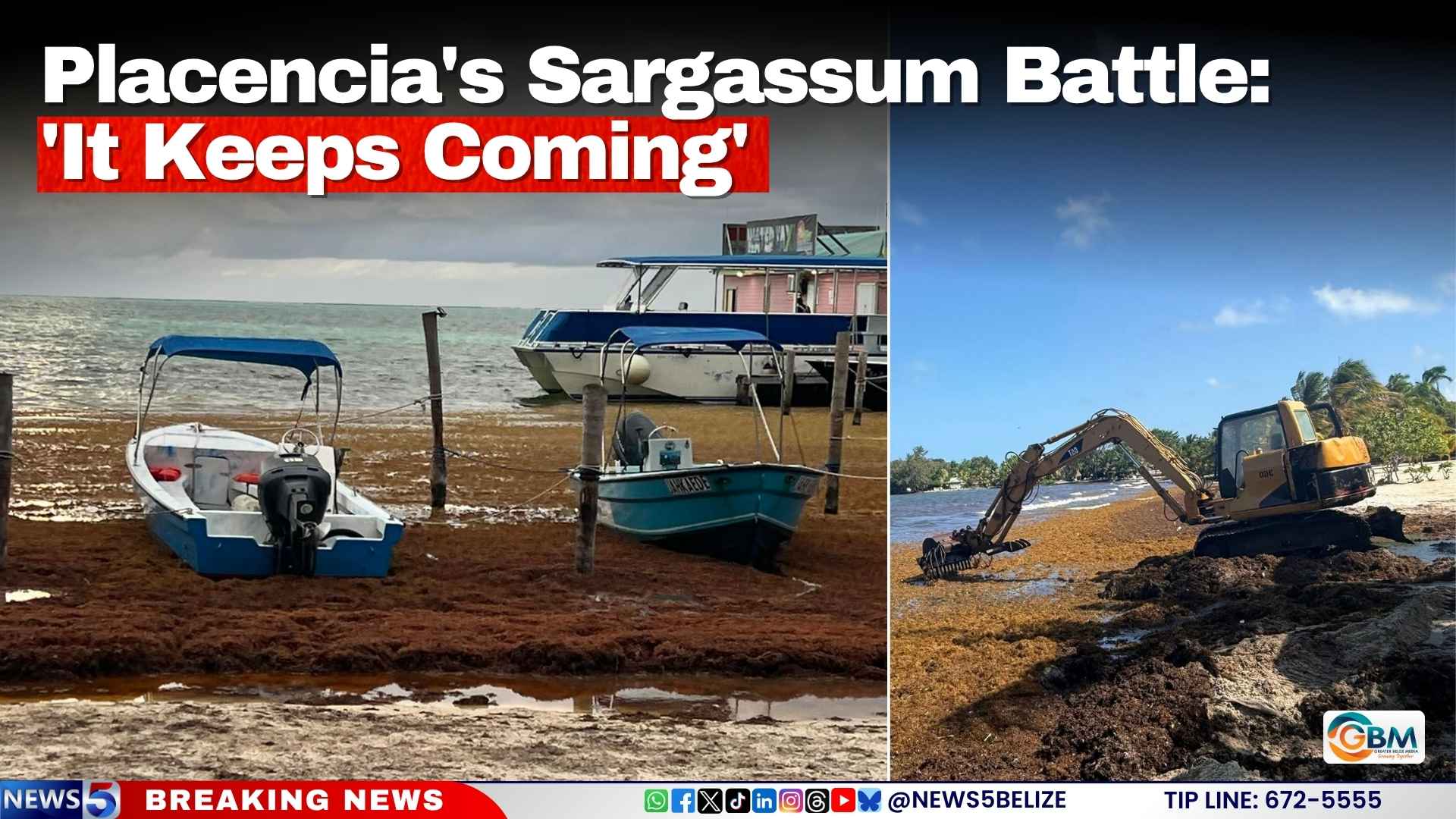 Placencia’s Sargassum Battle: ‘It Keeps Coming’