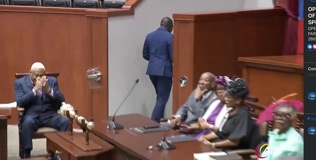 Opposition Senators Condemn Expulsion of MP Pringle as ‘partisan and meant to embarrass’