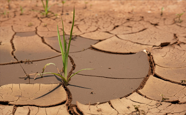 Saint Kitts and Nevis under drought warning amid below-normal rainfall forecast
