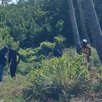 Headless, mutilated body found