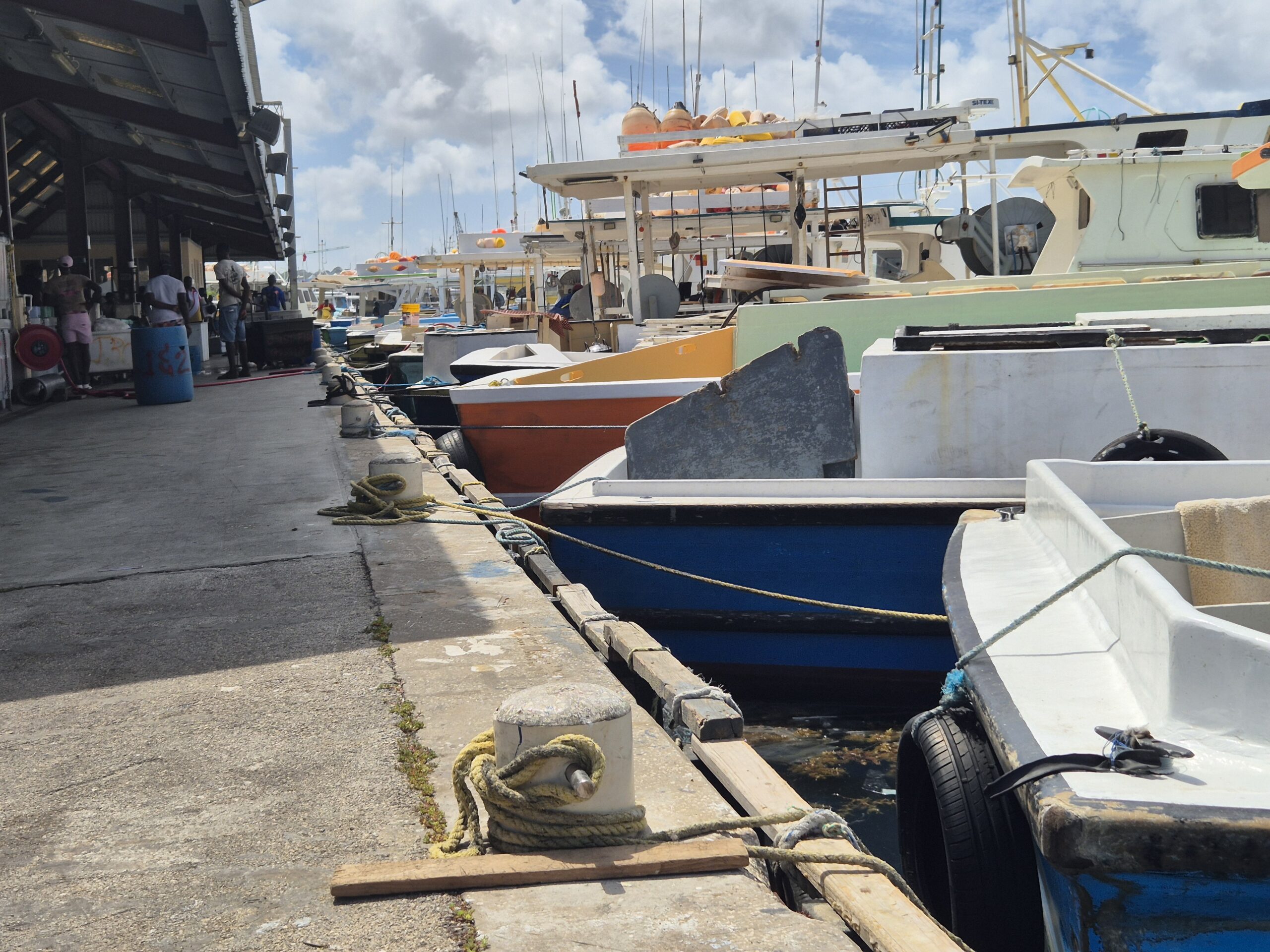 Fishing disrupted as ice shortage cripples City complex