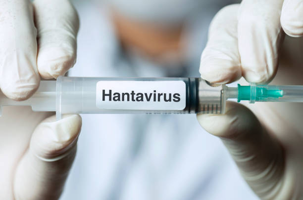 CARPHA urges caution even as hantavirus infection risk low in the Caribbean