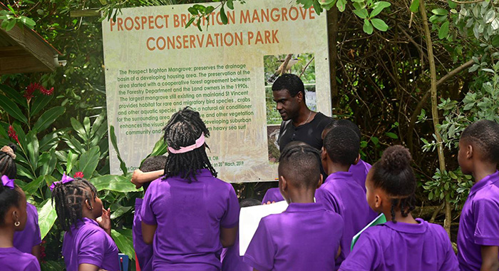 Sandals Foundation takes students on mindfulness nature trail for Earth Day