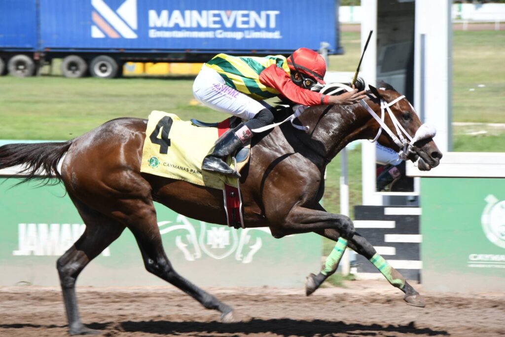 Barnaby back to best with dominant Legal Light Trophy romp