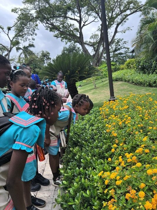 Sandals Foundation takes students on mindfulness nature trail for Earth Day