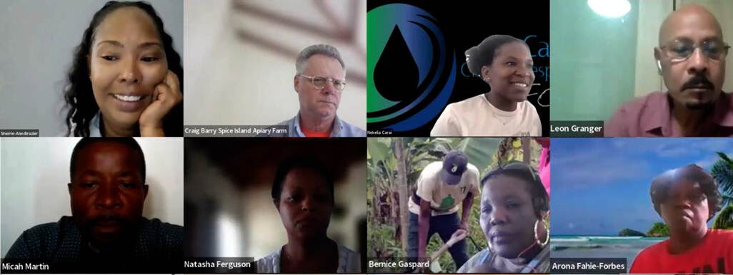Caribbean agriculture forum sparks innovation and entrepreneurship through 2026 webinar series