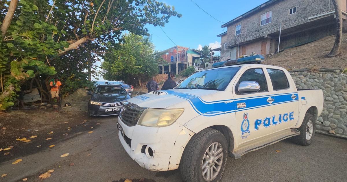 Suspect admits strangling Angelo