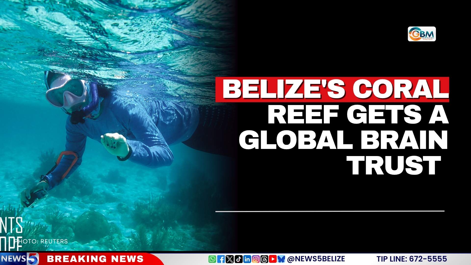 Belize’s Coral Reef Gets a Global Brain Trust