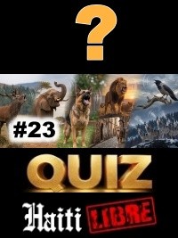 Leisure : Did you know ? #23