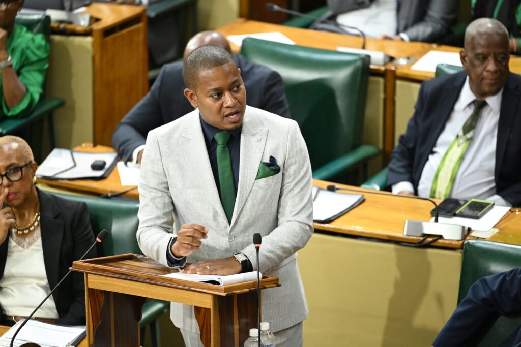 Jamaica completes draft 10-year National Agricultural Development Plan with FAO, says Green