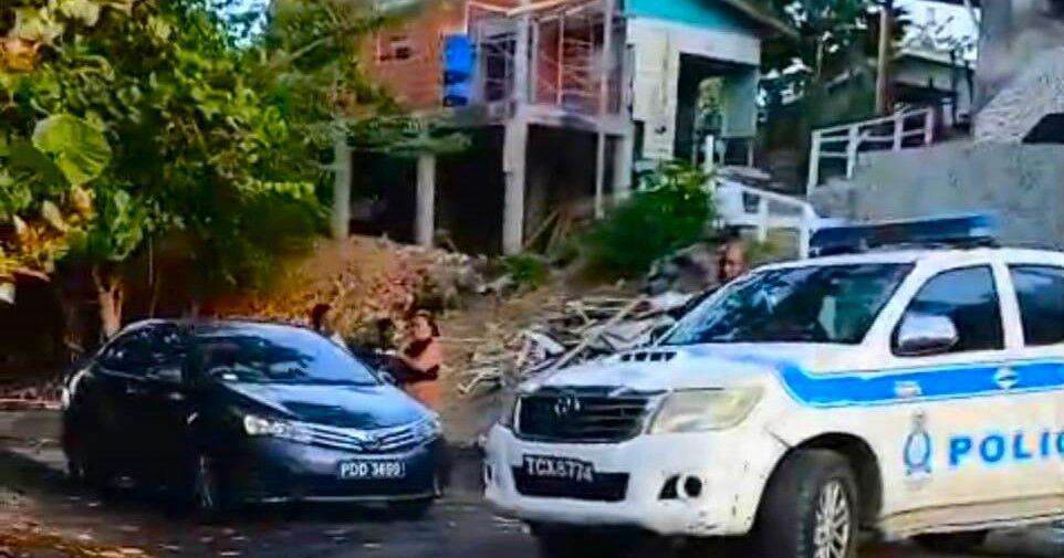 Police obtain video of suspect vehicle in Angelo probe