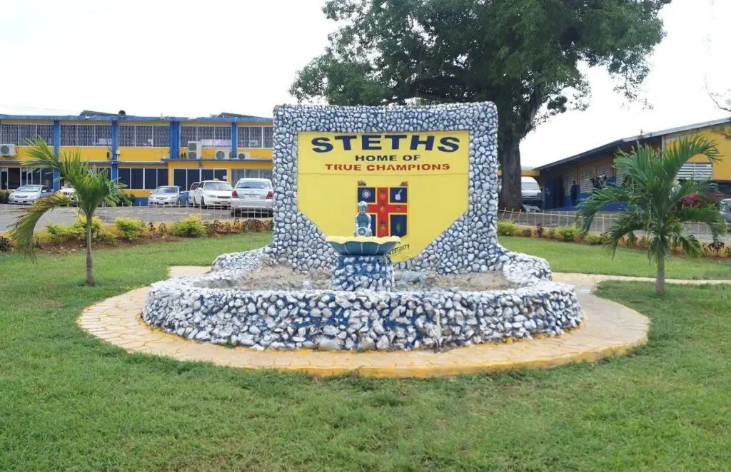 Four STETHS schoolgirls charged after series of fights