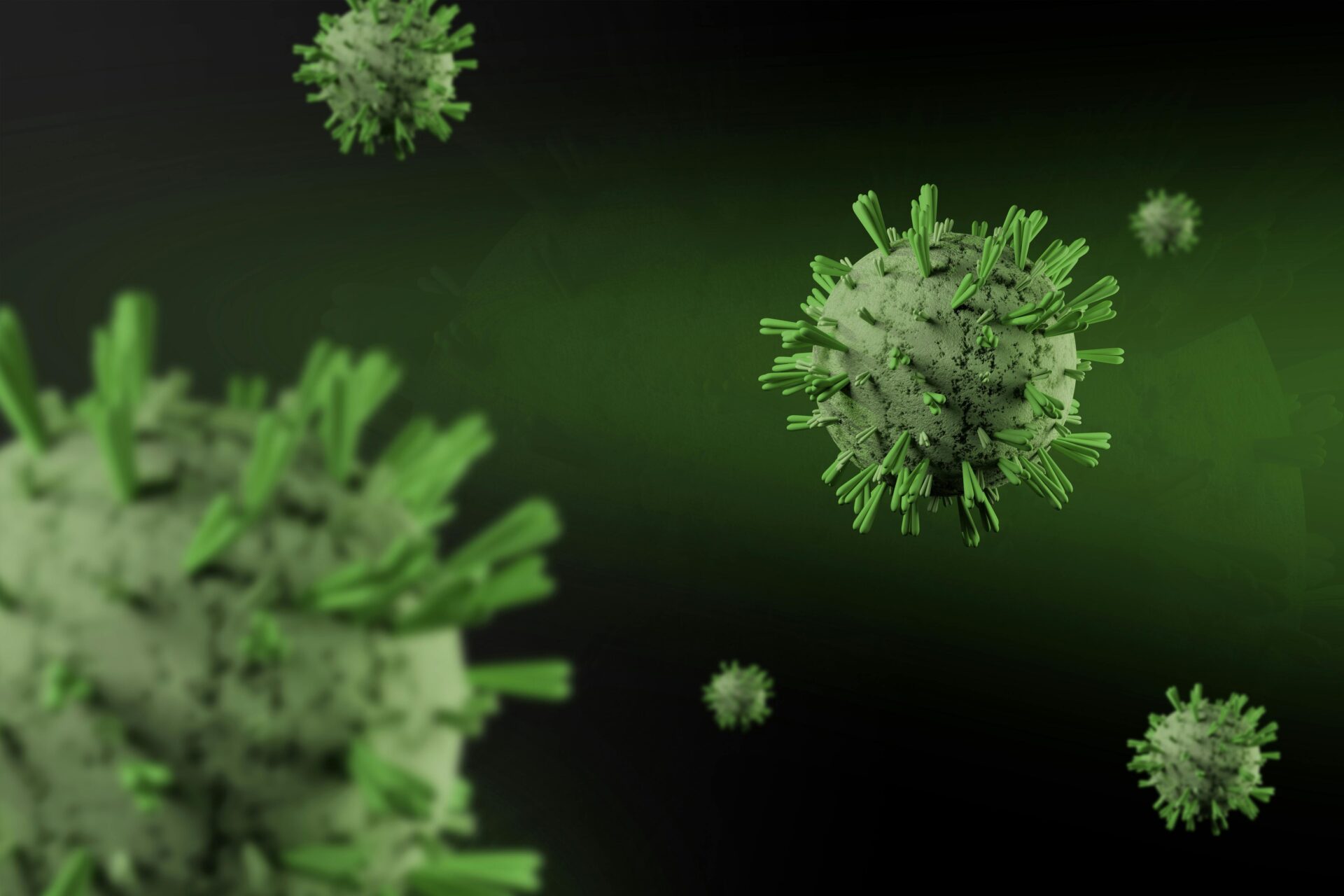 Ministry of Health, Wellness and Social Services issues public guidance on Hantavirus prevention