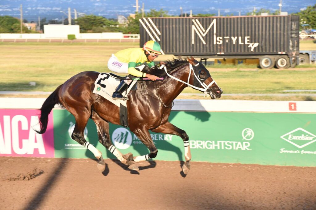Legacy Isle returns for Reggae Trophy feature at Caymanas Park