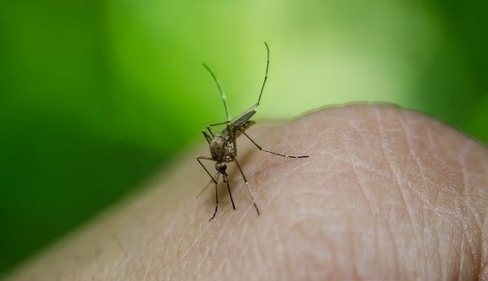 CARPHA launches Caribbean Mosquito Awareness Week