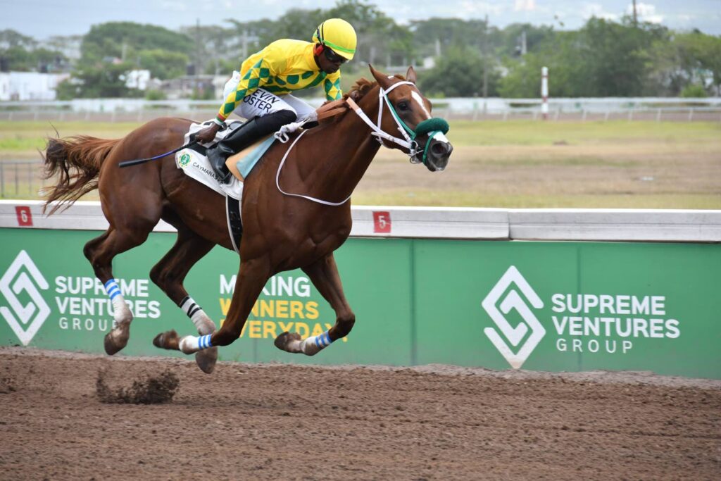 DaCosta dominates with four-winner haul on Saturday card