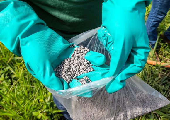 Government expands fertilizer subsidies to protect food security