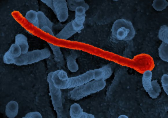 Dominican Republic strengthens airport health controls to prevent Ebola entry