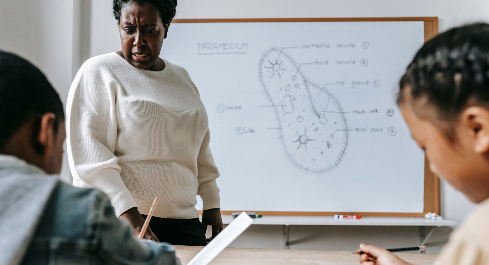 COMMENTARY: The negatives of differentiated instruction