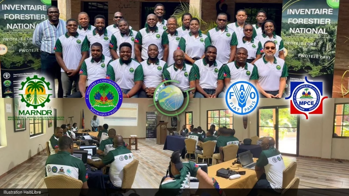 Environment : Capacity building of the Haiti’s National Forest Surveillance System
