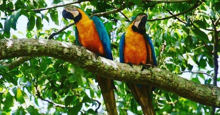 Tour operators call for reopening of Bush Bush Sanctuary