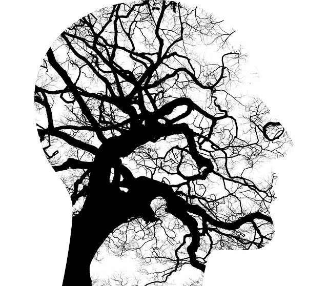 Why teach mental health?