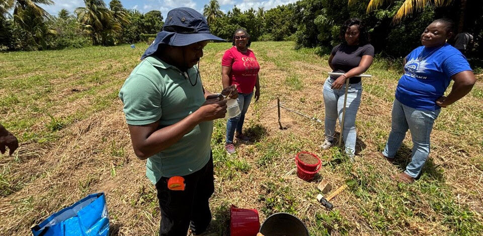 Caribbean climate-smart farming project trains 49 farmers and agricultural officers in St. Vincent
