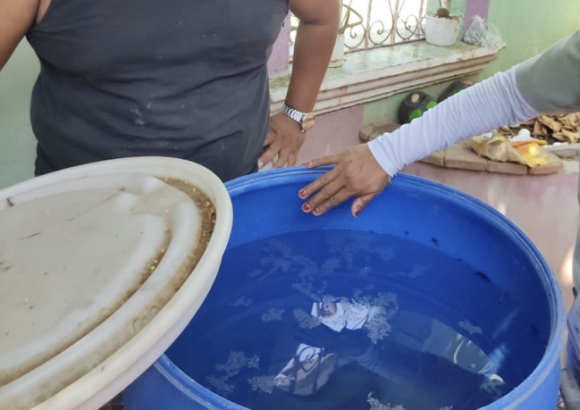 Public Health reports 10 new cases of dengue in the last week