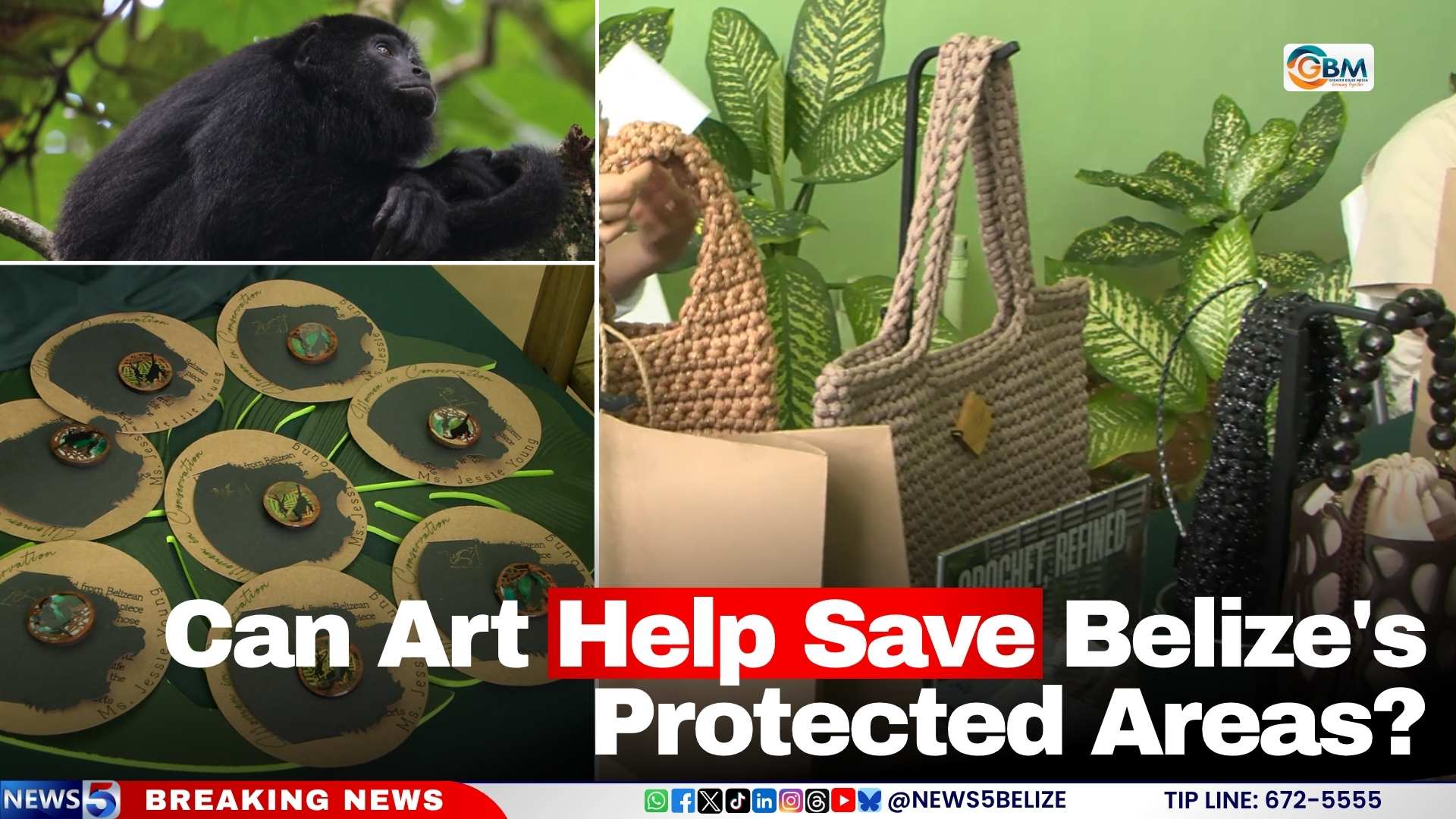 Can Art Help Save Belize’s Protected Areas?