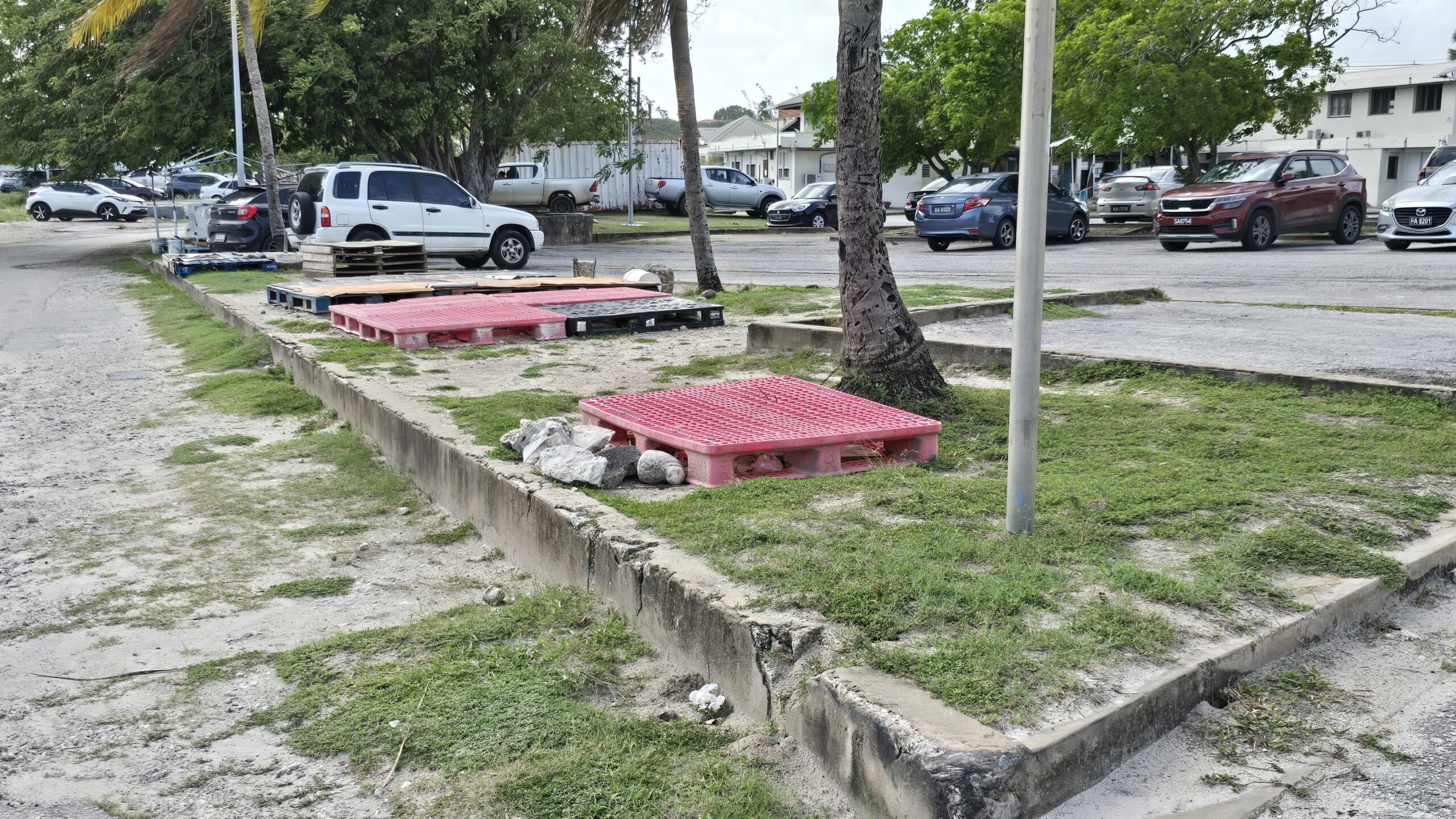 Enterprise vendors fear worsening sargassum will threaten livelihoods