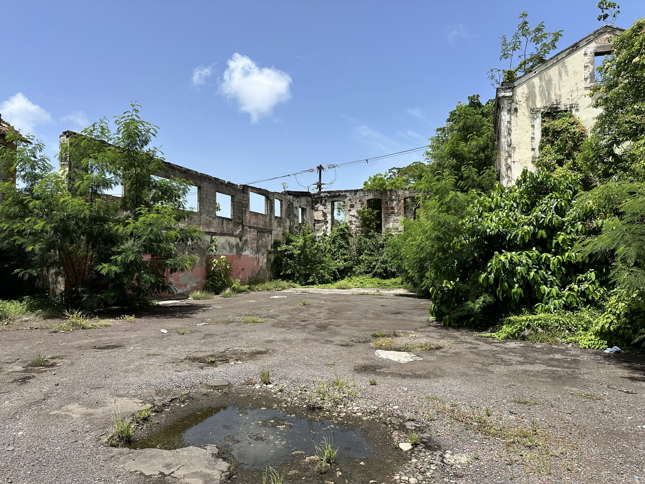 GNT calls for independent review before Drill Yard demolition