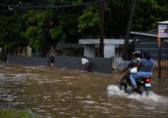 196 cases of leptospirosis have been reported so far this year