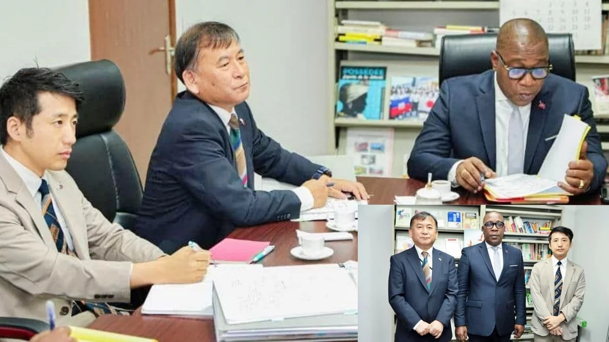 Japan : Major progress in the process of reviving bilateral cooperation