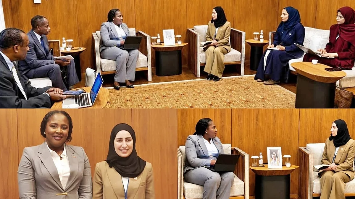 New dynamic of cooperation between Haiti and the United Arab Emirates