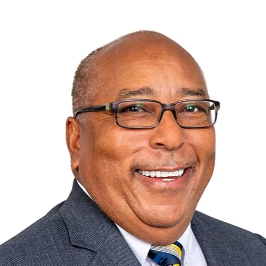 Estwick elected DLP president